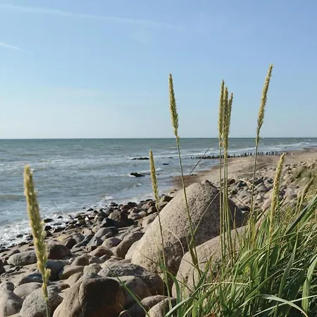Haus Seeadler 1 Süssau